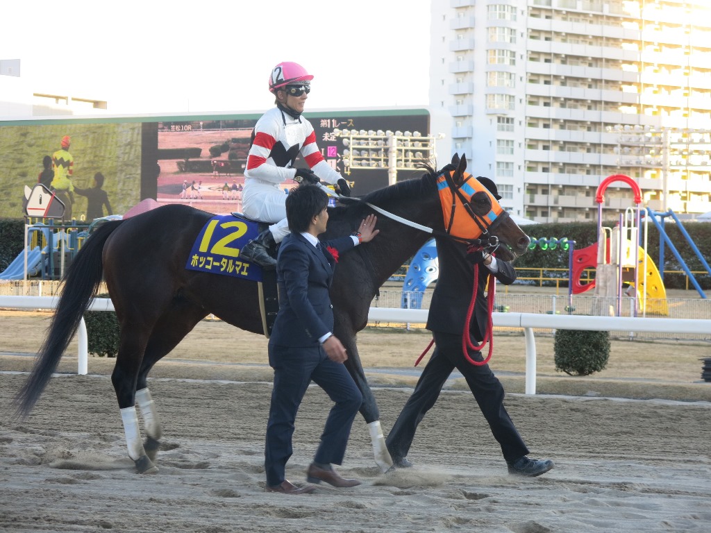 競馬探偵Xの大正解: 2010年秋冬&2011年金杯までの予想 | 競馬